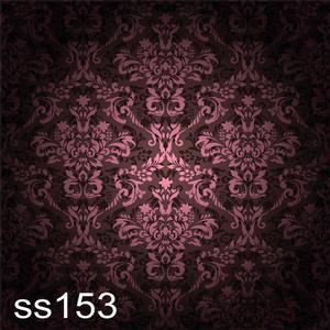 5'x8' SS153